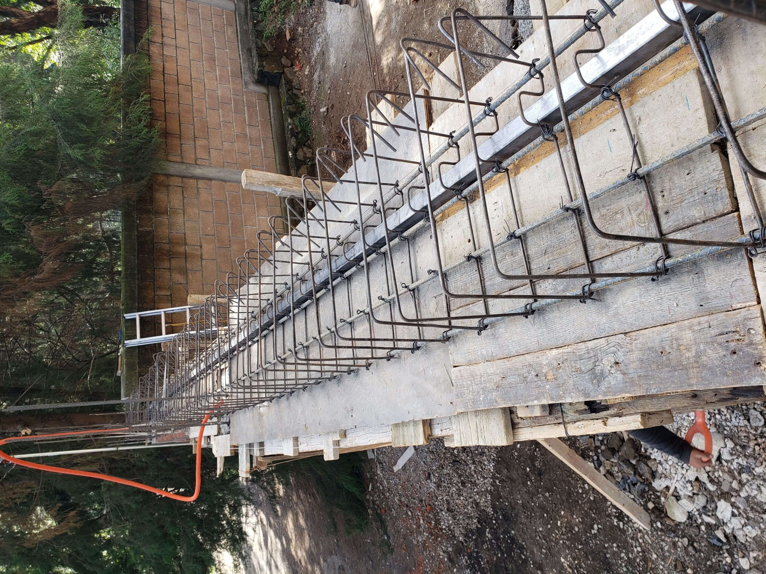 20210818_165228 - copia